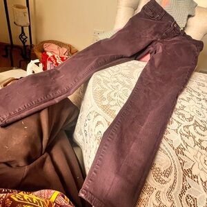 29R GAP Skinny Jeans